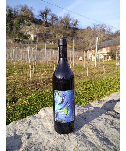 La Syrah 75 cl 2022 Ollon Grand Cru