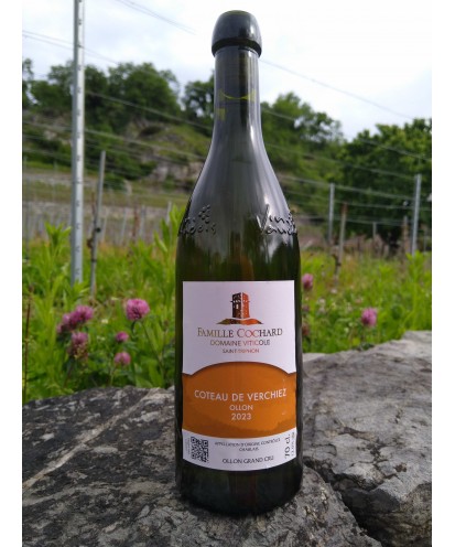 Le Coteau de Verschiez 70 cl 2023 Ollon Grand Cru