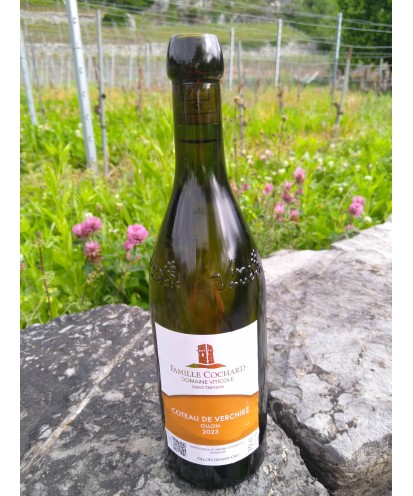 Le Coteau de Verschiez 70 cl 2023 Ollon Grand Cru