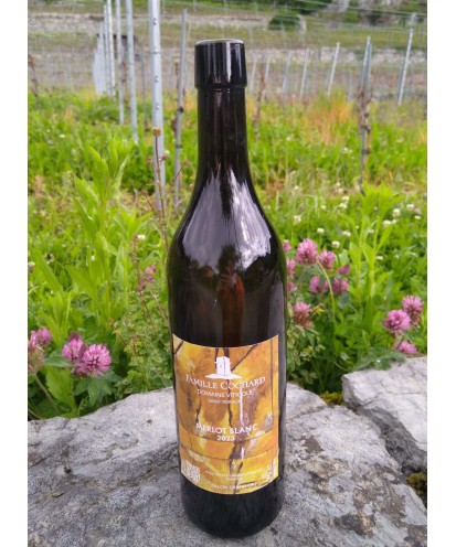 Le Blanc de Merlot 75 cl 2023 Ollon Grand Cru