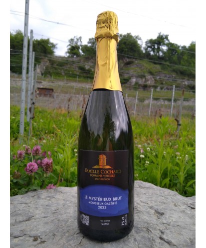 Mystérieux Brut, mousseux gazéifié 75cl 2023 vin de pays suisse