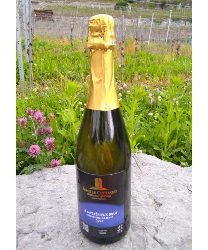 Mystérieux Brut, mousseux gazéifié 75cl 2023 vin de pays suisse