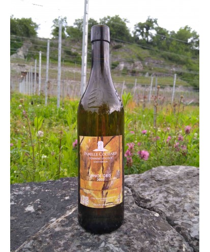 Le Pinot gris mi-sec 75 cl 2023 Ollon grand Cru