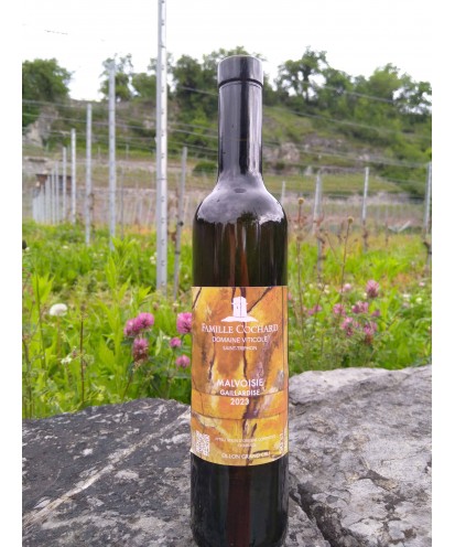La Gaillardise 50cl 2023 Ollon grand cru