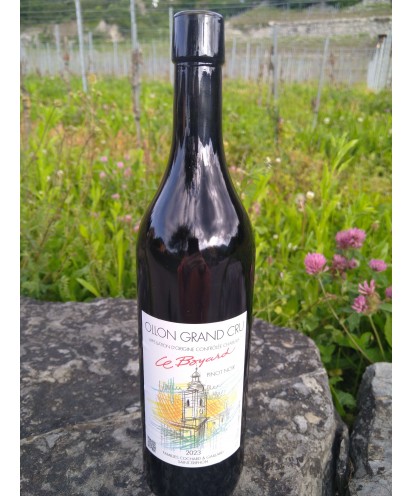 Le Boyard 75 cl 2023 Ollon Grand Cru