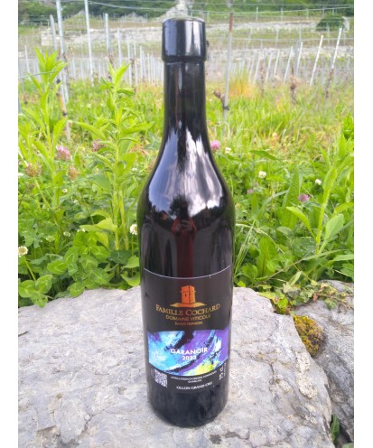 Le Garanoir 75 cl 2023 Ollon Grand Cru