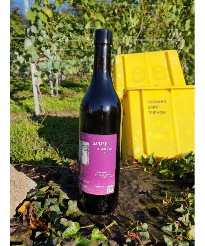 Le Gamaret 75 cl 2022 Ollon Grand Cru