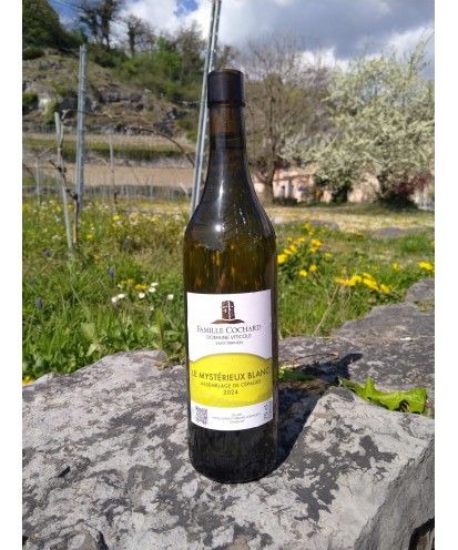 Le Mystérieux Blanc, assemblage de cépages, 75cl 2024 Ollon Grand Cru