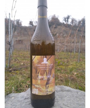 Le Pinot gris mi-sec 75 cl 2024 Ollon grand Cru