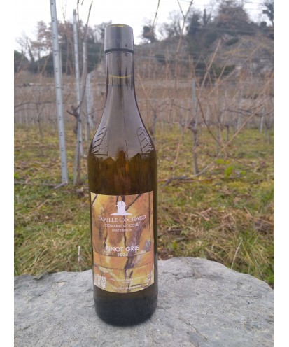 Le Pinot gris mi-sec 75 cl 2024 Ollon grand Cru