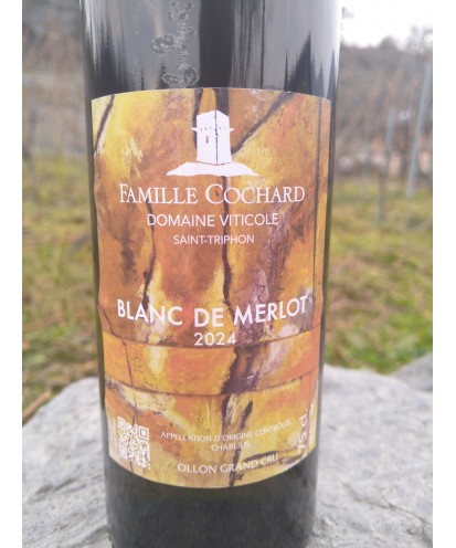 Le Blanc de Merlot 75 cl 2024 Ollon Grand Cru
