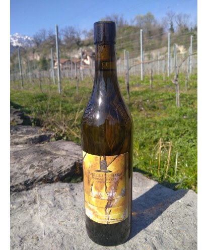 Le Pinot gris mi-sec 75 cl 2025 Ollon grand Cru, AOC Chablais