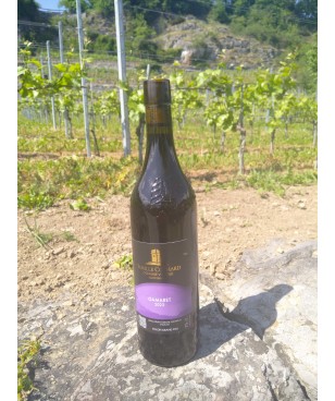 Le Gamaret 75 cl 2023 Ollon Grand Cru