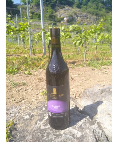 Le Gamaret 75 cl 2023 Ollon Grand Cru