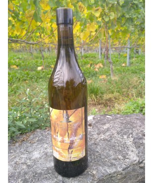 Le Blanc de Merlot 75 cl 2025 Ollon Grand Cru
