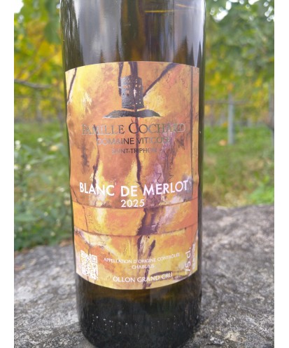 Le Blanc de Merlot 75 cl 2025 Ollon Grand Cru